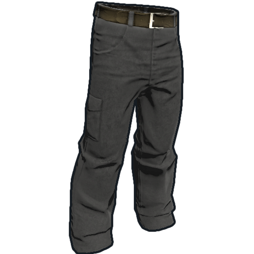 Magic Rust pants